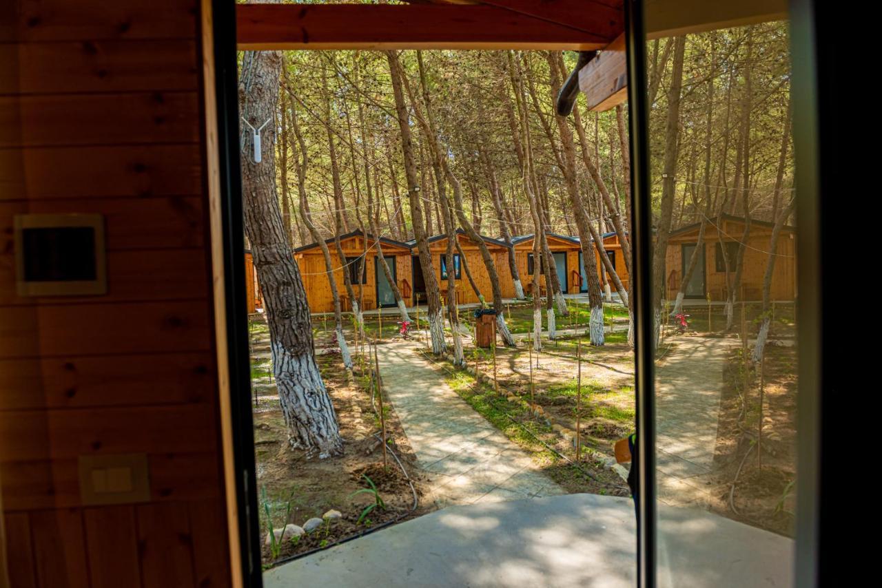 Ecuador Resort Zverneci Exterior foto